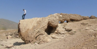 Van'da Yaratığa Benzeyen Taş İlgi Odağı Oldu