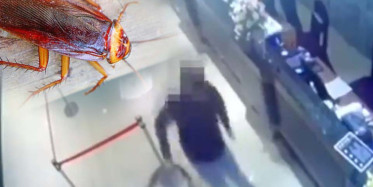 Tayvan'da Çete Hesaplaşmasında 'Hamam Böcekleri' Kullanıldı: Restorana Saldırdılar