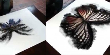 Bir Damla Boya ile Oluşan Kelebek Resmi