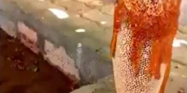 Tek Kelime ile Harika