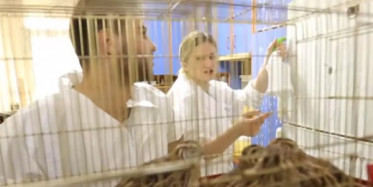 Temizlik Benim İşim Yeni Bölümü Olan 90. Bölümde Neler Yaşanacak?