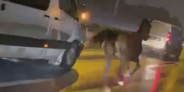 Trafikte 'AT' Şaşkınlığı: Yarış Anlatır Gibi Anlattı!