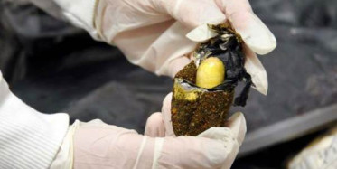 İstanbul Havalimanı'nda Pes Dedirten Uyuşturucu Operasyonu!