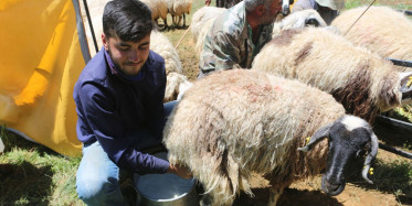 Tunceli’deki Çobanın Robert Kolejine Uzanan Başarı Öyküsü