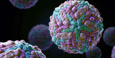 Türk Bilim Adamlarından Mucize Buluş Gerçekleştirildi!