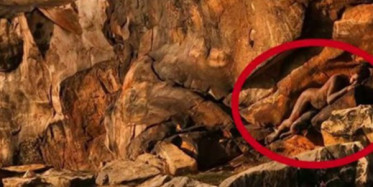 Gözü Dönmüş Sapık! 11 Yaşındaki Çocuğu İstismar Etmeye Kalktı