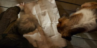  Vahşetin Çağrısı Filminin İlk Fragmanı Yayınlandı