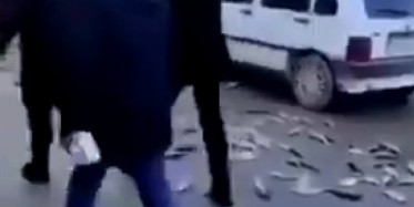 Van'da Zabıta Ekipleri Balık Tezgahını Devirdi
