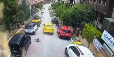 Vicdansız Adam Çareyi Kaçmakta Buldu! Eyüpsultan'da Taksi Şoförü Köpeği Ezerek Öldürdü