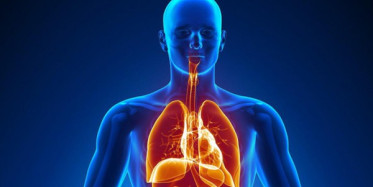 Vücudumuz Hakkında Bilmediklerimiz