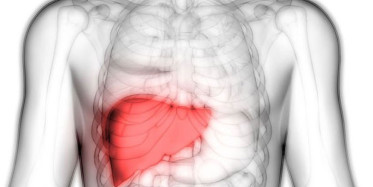 Vücudumuzun En Önemli Organlarından Karaciğerin Zehir Dolu Olduğunu Gösteren İşaretler Nelerdir!