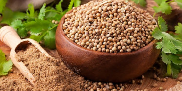 Kişnişin İnsan Sağlığına Faydaları