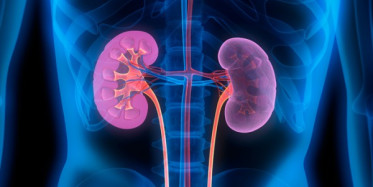 Böbrek İltihabının Belirtileri