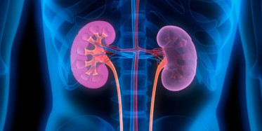 Böbrekleri Yetmezliğine Yol Açan Nedenler