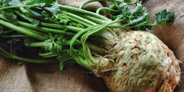 Kerevizin Sağlığımıza Faydaları