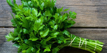 Maydanozun Sağlığımıza Faydaları