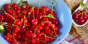 Vişne Sapının Şaşırtıcı Faydaları