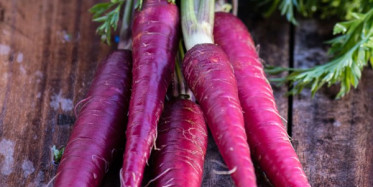 Şalgamın Ana Maddesi Mor Havucun Faydaları