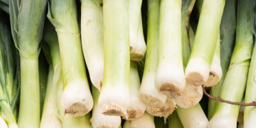 Pırasanın Sağlığımıza Faydaları