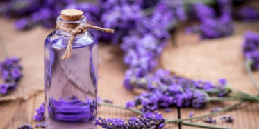 Menekşe Yağının Faydaları