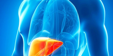 Karaciğer Yağlanmasını Önleyen Besinler