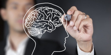 Beyin Sağlığımız İçin Tüketmemiz Gereken Besinler