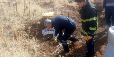 Mardin'de Yavru Köpekleri Kuyuya Attılar