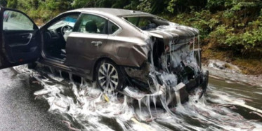 Yılan Balığı Yüklü Kamyon Trafikte Dehşet Saçtı!