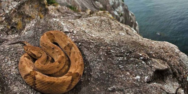 Cennet Görünümlü Cehennem Adası