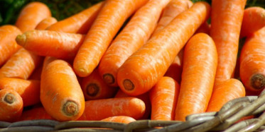 Havucun Sağlığımıza Etkileri