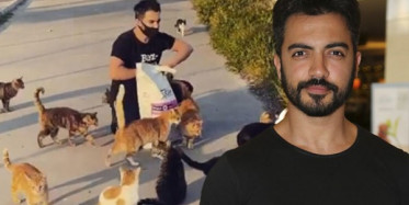 Yusuf Güney Kedileri Besledi